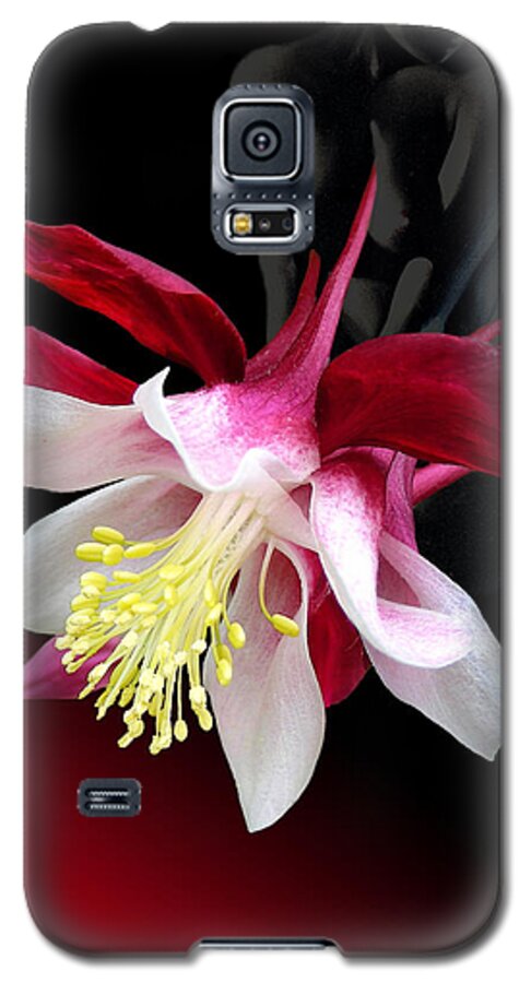 Fleurotica Art Galaxy S5 Case featuring the digital art Dark Lady by Torie Tiffany