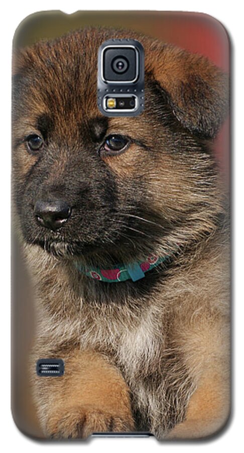 German Shepherd Galaxy S5 Case featuring the photograph Darling Puppy by Sandy Keeton