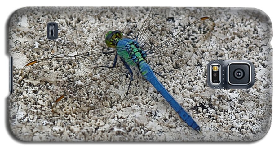 Dragonfly Galaxy S5 Case featuring the photograph Darter by Peter Ponzio