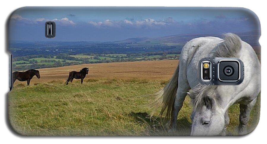 Dartmoor Galaxy S5 Case featuring the photograph Dartmoor Ponies On Gibbet Hill Dartmoor Devon by Richard Brookes