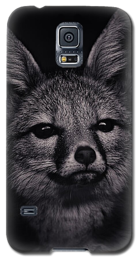 Animal Galaxy S5 Case featuring the photograph Dash by Brian Cross