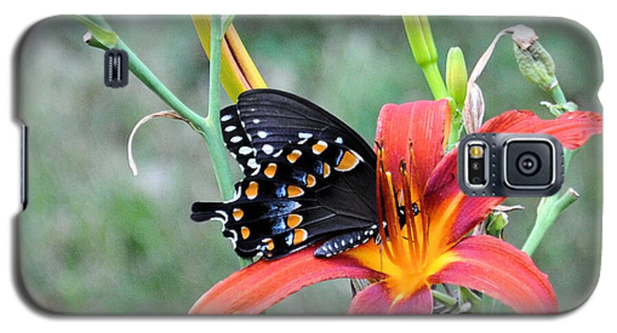 Floral Galaxy S5 Case featuring the photograph Daylily Delight 2 by Jan Amiss Photography