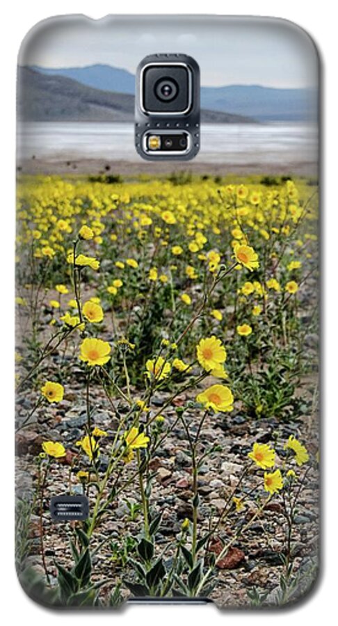 Desert Galaxy S5 Case featuring the photograph Death Valley Super bloom by Gaelyn Olmsted