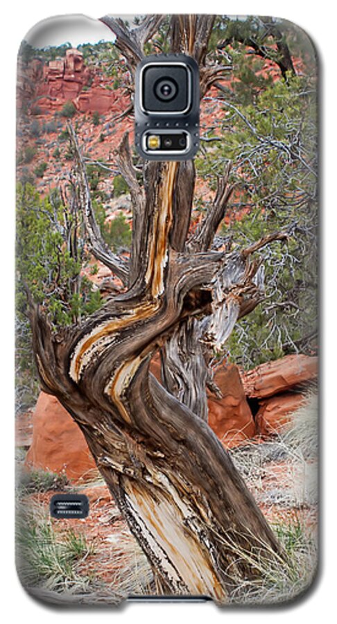 Tree Galaxy S5 Case featuring the photograph Decorative Dead Tree by Farol Tomson