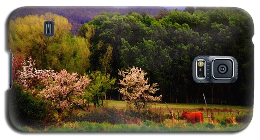 Mountains Galaxy S5 Case featuring the photograph Deep Breath of Spring El Valle New Mexico by Anastasia Savage Ealy