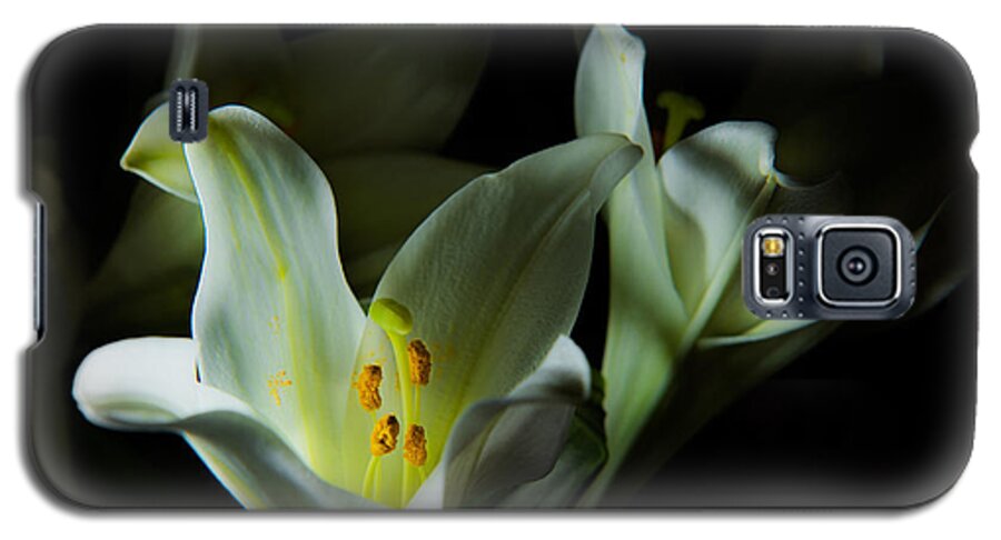 Blooming Galaxy S5 Case featuring the photograph Deep White Lily by Dennis Dame