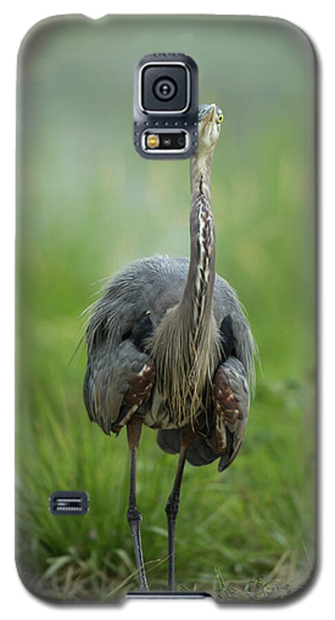 Heron Galaxy S5 Case featuring the photograph Defensive Great Blue Heron by Angie Vogel