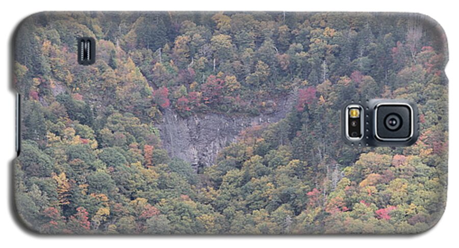  Blue Ridge Parkway Scene Galaxy S5 Case featuring the photograph Dense Woods by Allen Nice-Webb