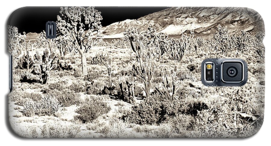 Desert Landing Galaxy S5 Case featuring the photograph Desert Landing at Mojave National Preserve by John Rizzuto