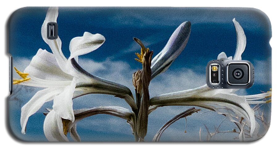 Macro Galaxy S5 Case featuring the photograph Desert Lilly Close up by Jeremy McKay