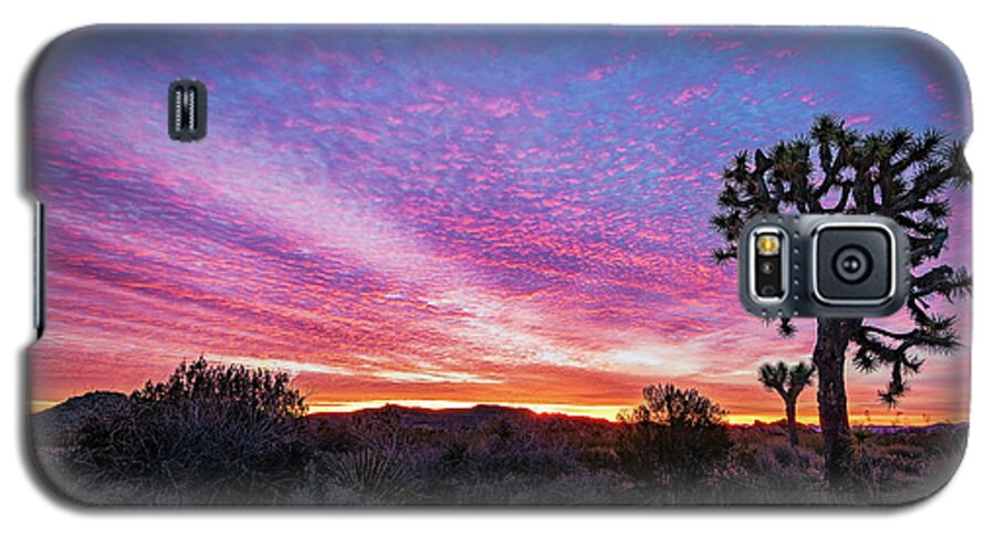 California Galaxy S5 Case featuring the photograph Desert Sunrise at Joshua Tree by John Hight