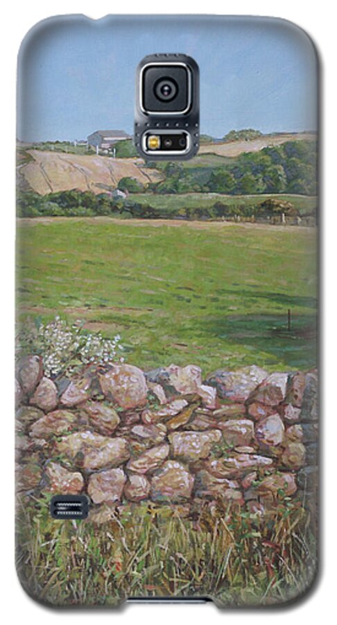 Countryside Galaxy S5 Case featuring the painting Devon field and drystone wall by Martin Davey