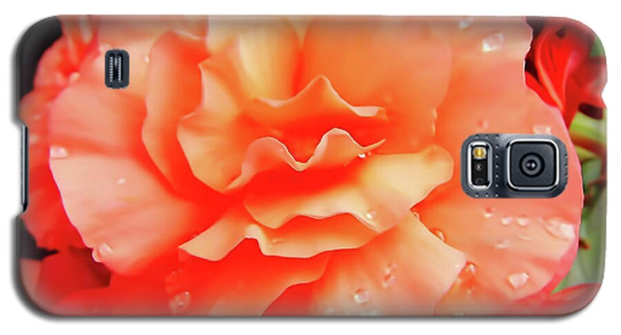Roses Galaxy S5 Case featuring the photograph Dew Kissed by D Hackett