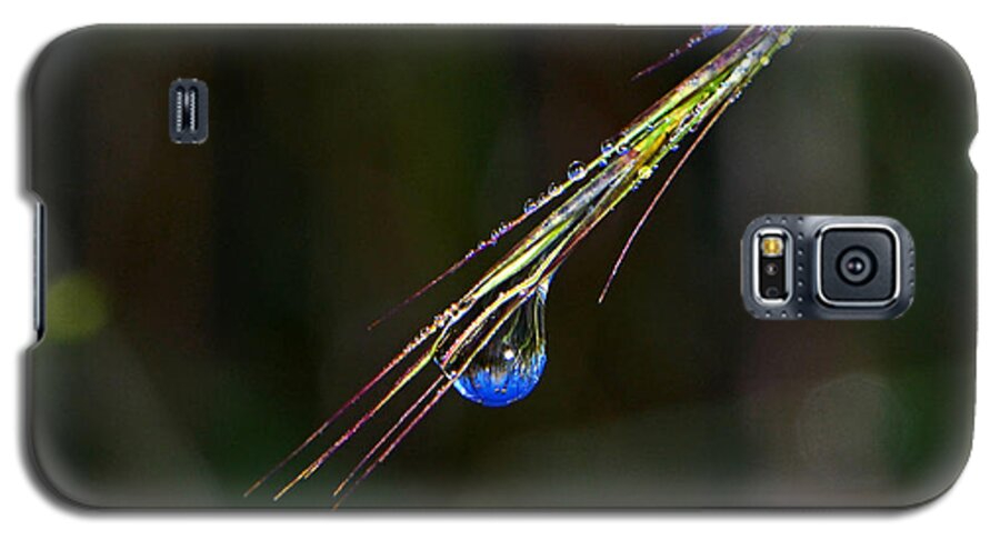 Dewdrop Galaxy S5 Case featuring the photograph Dewdrop Reflection - Sunrise 001 by George Bostian