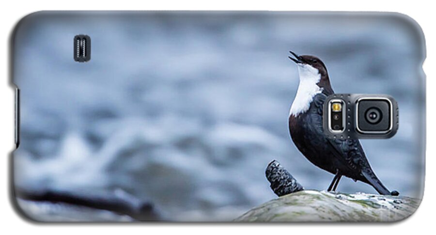 Dipper's Call Galaxy S5 Case featuring the photograph Dipper's Call by Torbjorn Swenelius