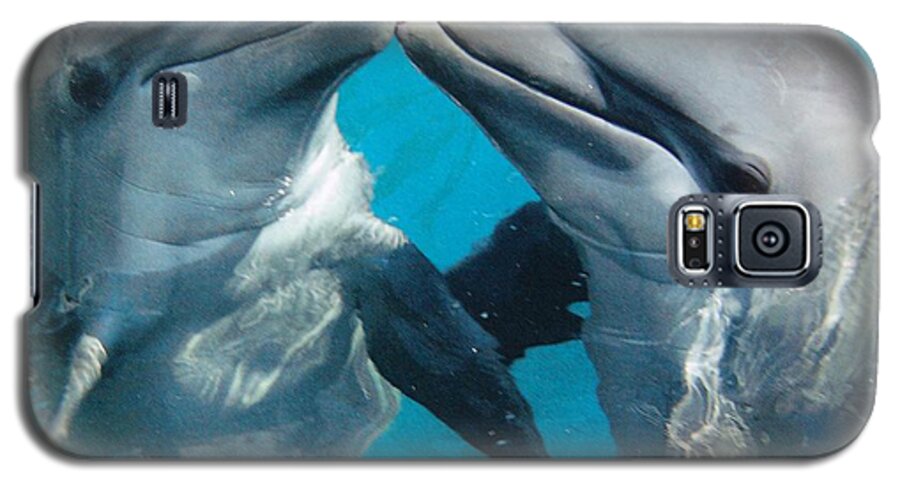 Sea Life Galaxy S5 Case featuring the photograph Dolphin Play by Florene Welebny