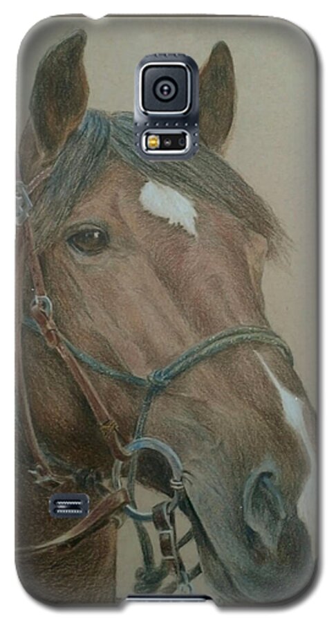 Horse Galaxy S5 Case featuring the painting Dozer by James Andrews