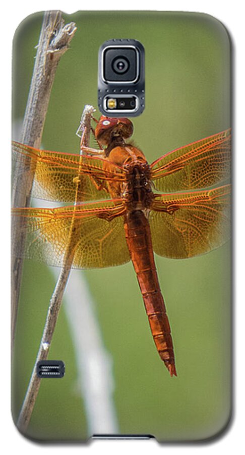 Dragonfly Galaxy S5 Case featuring the photograph Dragonfly 10 by Christy Garavetto