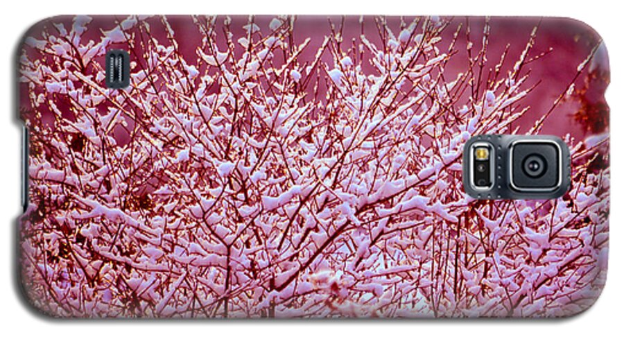 Dreaming In Red Galaxy S5 Case featuring the photograph Dreaming in red - Winter Wonderland by Susanne Van Hulst