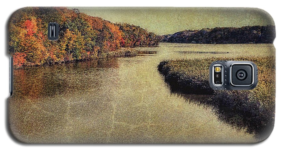Topaz Galaxy S5 Case featuring the photograph Dreary Autumn by Reynaldo Williams