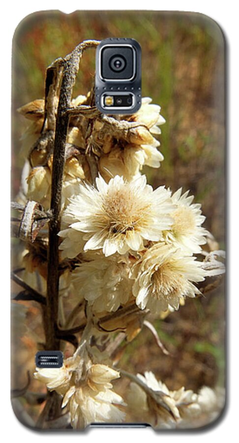 Flowers Galaxy S5 Case featuring the photograph Dried Flowers by Scott Kingery