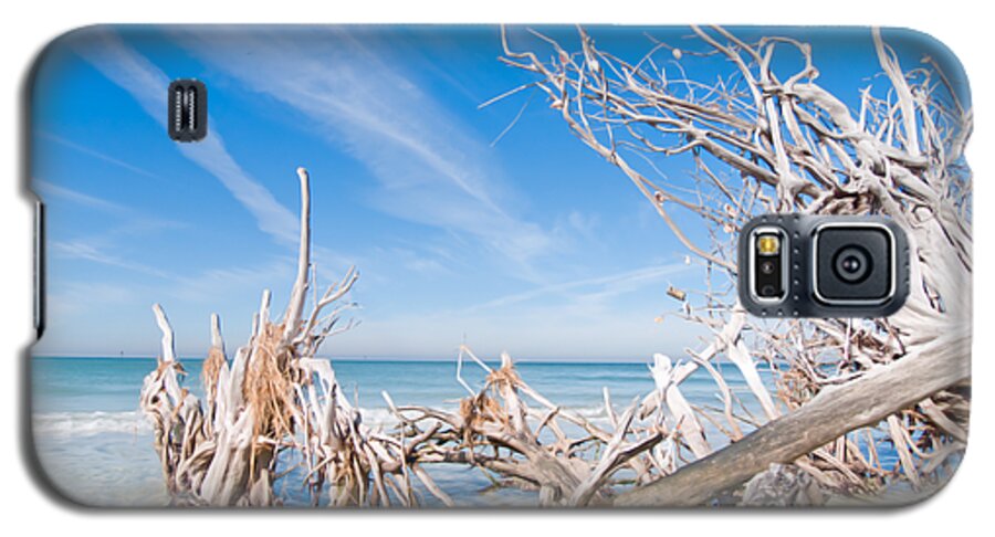 Driftwood Galaxy S5 Case featuring the photograph Driftwood C141348 by Rolf Bertram