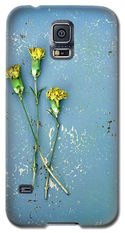 Flowers Galaxy S5 Case featuring the photograph Dry Flowers on Blue by Jill Battaglia