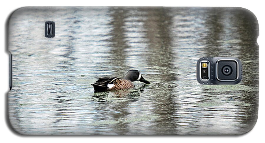 Bird Galaxy S5 Case featuring the photograph Duck Alone by Teresa Blanton