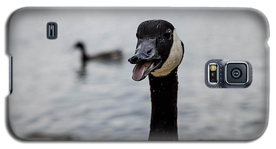 Duck Galaxy S5 Case featuring the photograph Duck Duck Goose by Mike Dunn