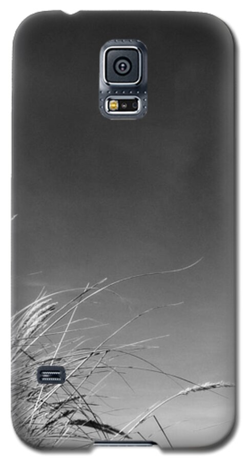 Beach Galaxy S5 Case featuring the photograph Dune Grass with Sky by Michelle Calkins