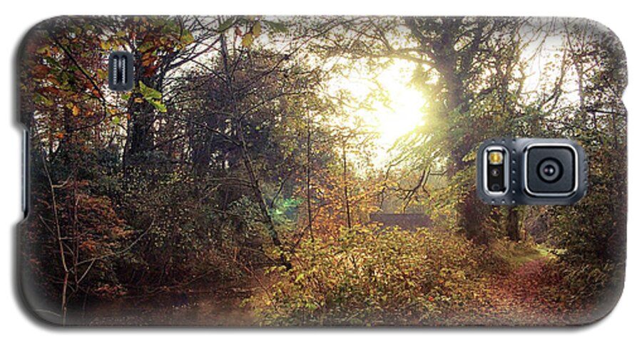 Irish Landscape Galaxy S5 Case featuring the photograph Dunmore Wood - Autumnal Morning by No Alphabet