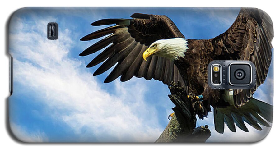 Bald Eagle Galaxy S5 Case featuring the photograph Eagle Landing on a Branch by Eleanor Abramson