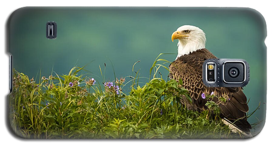 Birds Galaxy S5 Case featuring the photograph Eagle on the lookout by Steven Upton