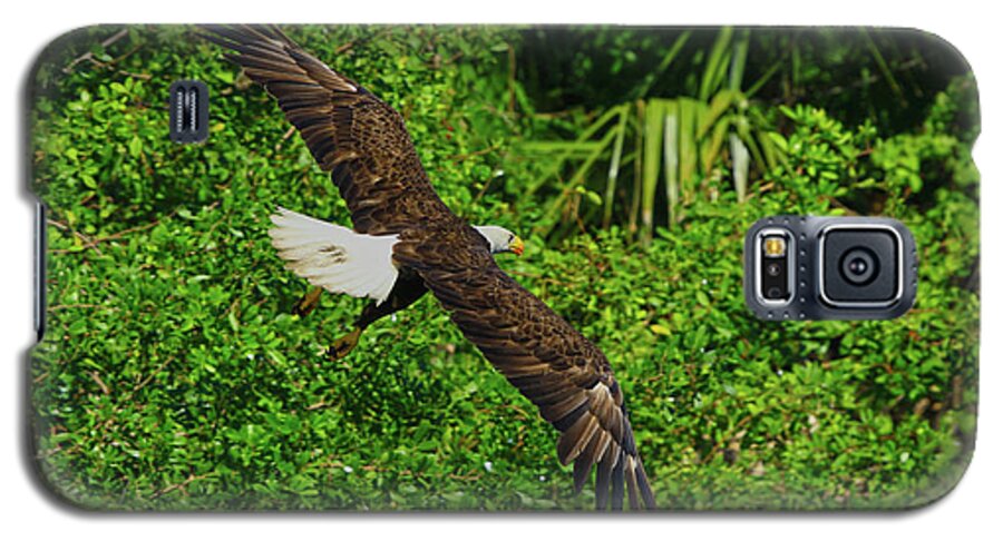 Eagle Galaxy S5 Case featuring the photograph Eagle Series Flight by Deborah Benoit