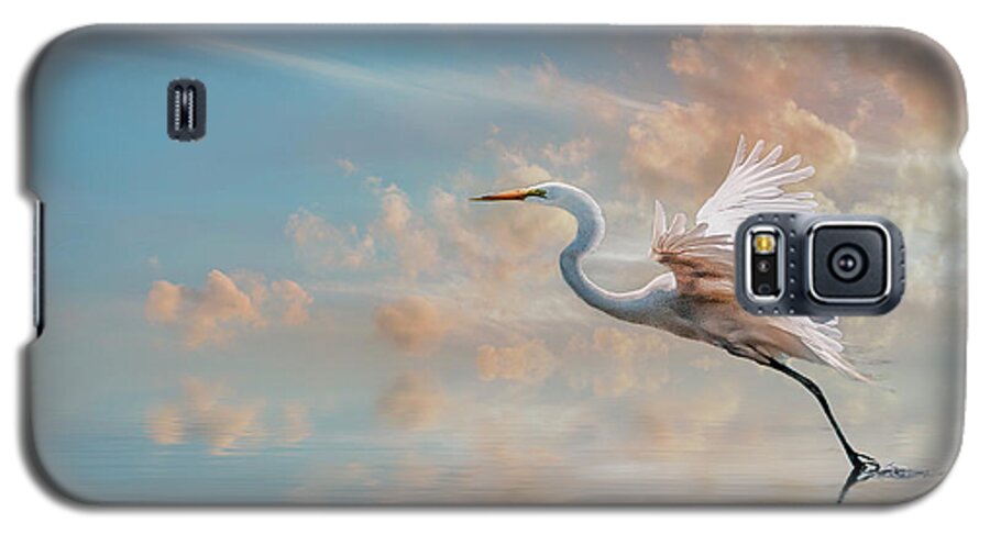 Great Egret Galaxy S5 Case featuring the photograph Early morning Egret by Brian Tarr