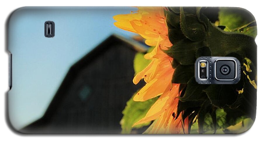 Farm Galaxy S5 Case featuring the photograph Early One Morning by Chris Berry