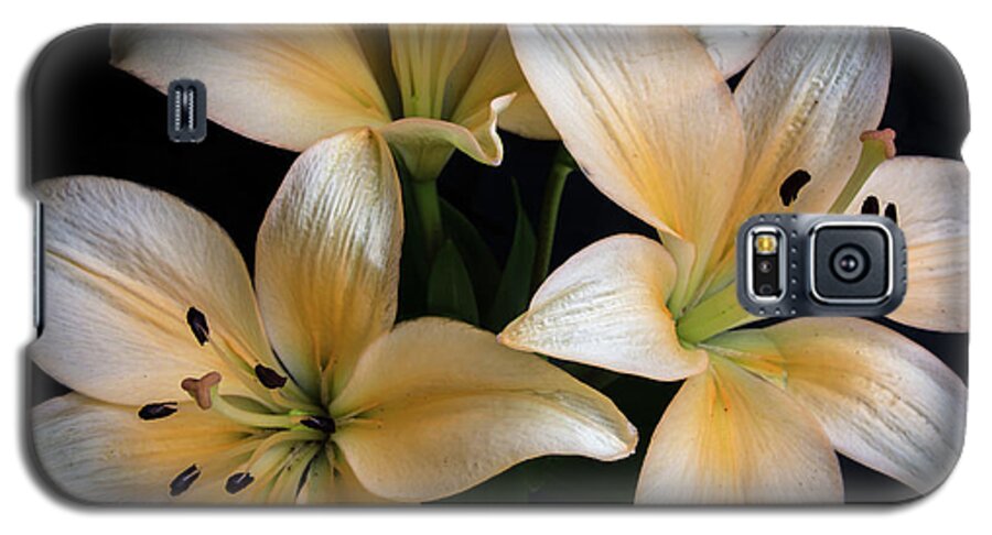 Closeup Galaxy S5 Case featuring the photograph Easter Lilies by Deborah Klubertanz