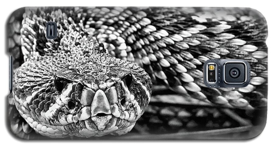 Rattlesnake Galaxy S5 Case featuring the photograph Eastern Diamondback Rattlesnake Black and White by JC Findley