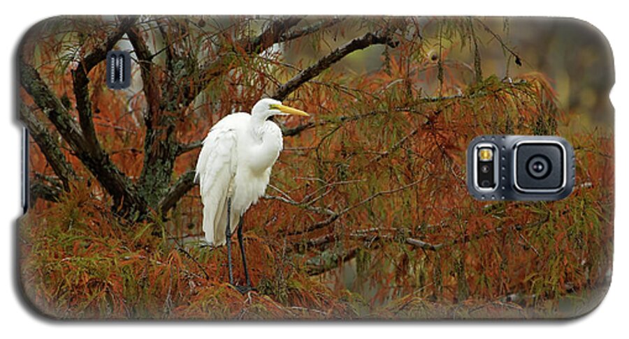 Egret Galaxy S5 Case featuring the photograph Egret in Autumn by Eilish Palmer