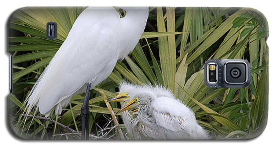 Great White Egret Galaxy S5 Case featuring the photograph Egret Nest by Art Cole