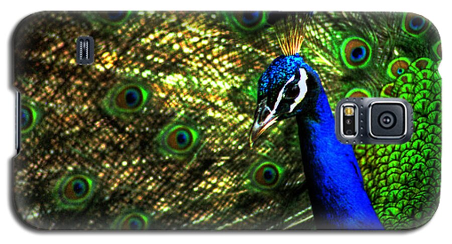 Peacock Galaxy S5 Case featuring the photograph Eighteen Eyes by Wayne King