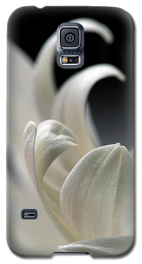 Lauren Radke Galaxy S5 Case featuring the photograph Elegance by Lauren Radke