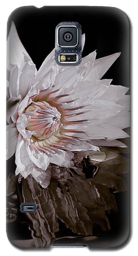 Water Lily Galaxy S5 Case featuring the photograph Elizabeth's Lily by Trish Tritz