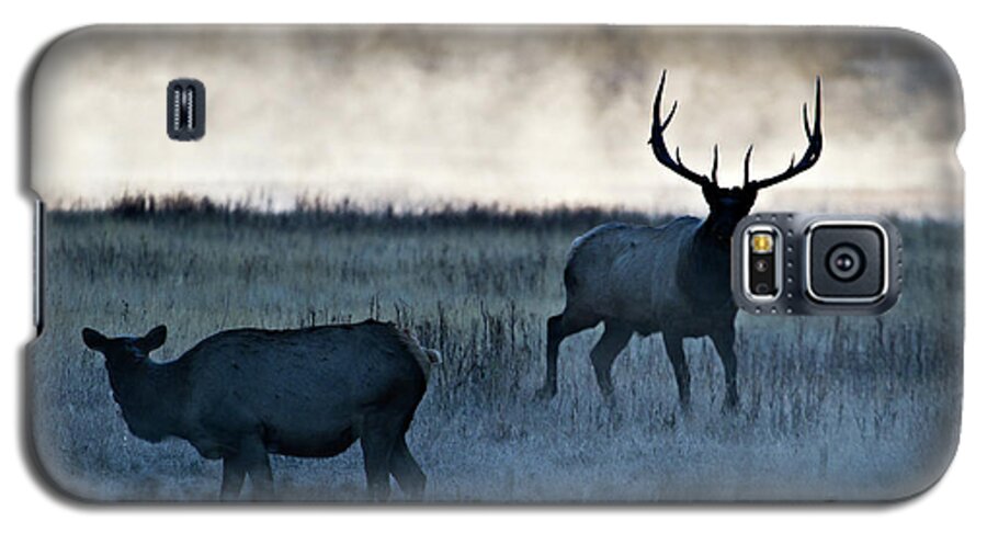 Elk Galaxy S5 Case featuring the photograph Elk in the Mist by Wesley Aston
