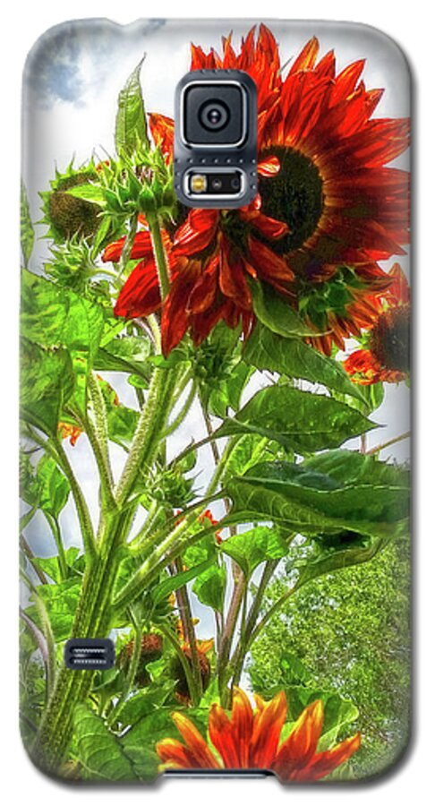 Sunflowers Galaxy S5 Case featuring the photograph Emeralds and Fire by Amanda Smith