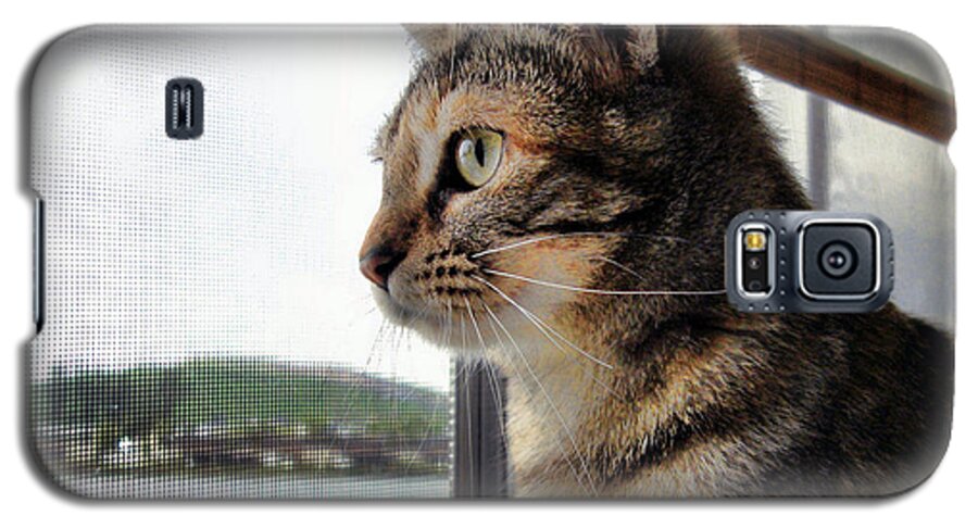 Cat Galaxy S5 Case featuring the photograph Emma again by Nora Martinez