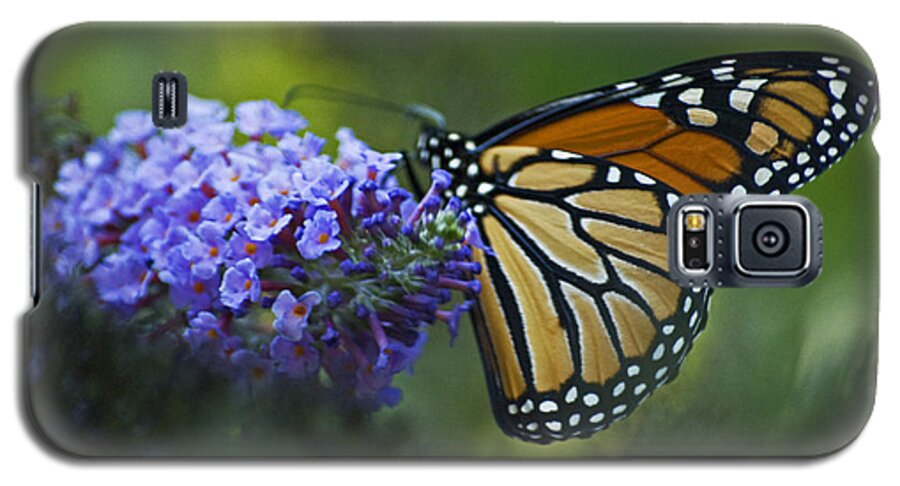 Monarch Galaxy S5 Case featuring the photograph Enchanting Monarch by Elsa Santoro