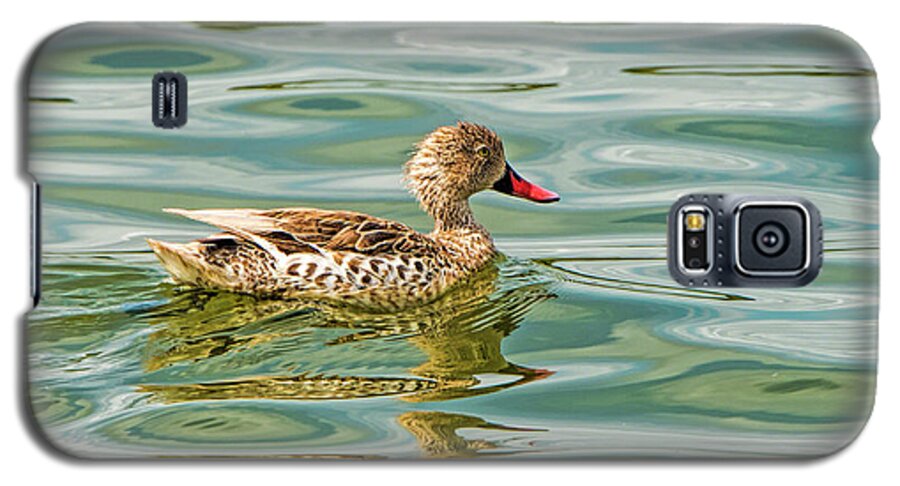 Duck Galaxy S5 Case featuring the photograph Enjoying by Pravine Chester