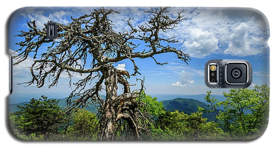 Blue Ridge Parkway Galaxy S5 Case featuring the photograph Ent at the Top of the Hill - Color by Joni Eskridge