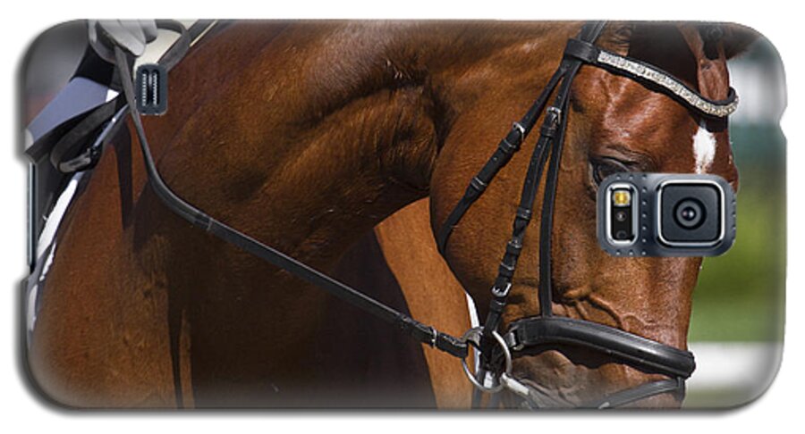 Equestrian At Work Galaxy S5 Case featuring the photograph Equestrian At Work by Wes and Dotty Weber